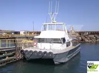 Barche da lavoro in vendita