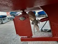Peschereccio in vendita