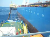 Trasportatore di merci sfuse in vendita