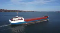 Trasportatore di merci sfuse in vendita