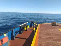 Rimorchiatore in vendita