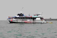 Catamarano in vendita