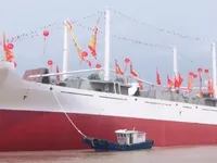 Nave refrigerata in vendita