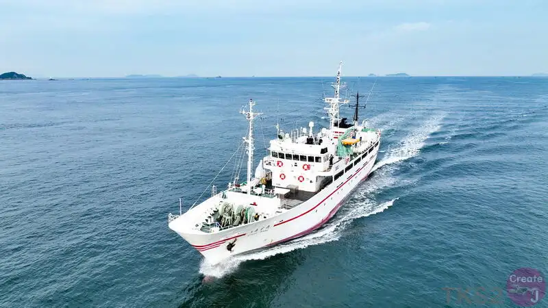 Nave da rilevamento in vendita