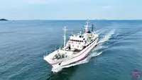 Nave da rilevamento in vendita