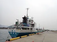 General Cargo/Multi-purpose in vendita