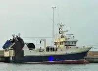 Nave per la lavorazione e il trasporto di pesce in vendita