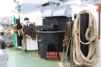 Rimorchiatore in vendita