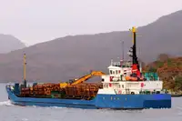Trasportatore di merci sfuse in vendita