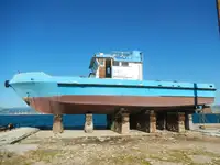 Chiatta in vendita