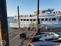 Nave traghetto in vendita