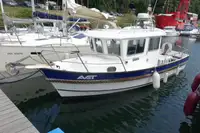 Barche da lavoro in vendita
