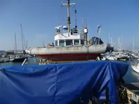 Imbarcazioni da lavoro in vendita