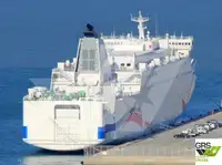 Nave Ro-Ro in vendita