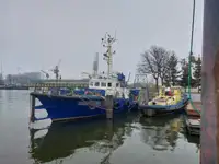 Nave da rilevamento in vendita