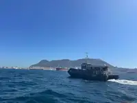 Nave di servizio per parchi eolici in vendita