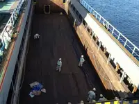 Trasportatore di merci sfuse in vendita