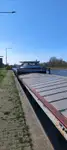 Trasportatore di merci sfuse in vendita