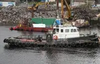 Barche da lavoro in vendita