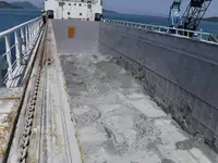 Trasportatore di merci sfuse in vendita