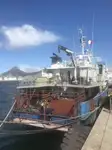 Nave reefer in vendita