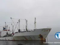 Nave refrigerata in vendita