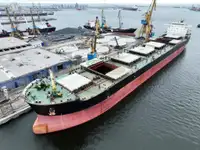 Portarinfuse in vendita