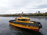 Barche da lavoro in vendita