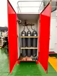 General Cargo/Multi-purpose in vendita