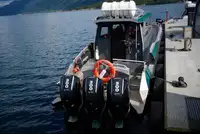 Pattugliatore in vendita