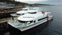Catamarano in vendita