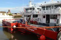 Catamarano in vendita