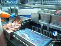 Peschereccio a strascico in vendita