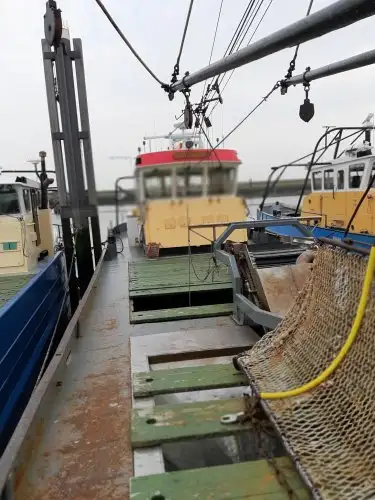 Peschereccio a strascico in vendita