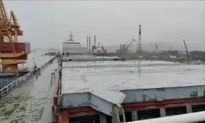 Trasportatore di merci sfuse in vendita