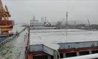 Trasportatore di merci sfuse in vendita