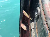 Rimorchiatore in vendita