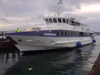 Nave passeggeri in vendita