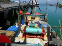 Trawler in vendita