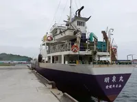 General Cargo/Multi-purpose in vendita