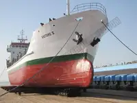 Trasportatore di merci sfuse in vendita