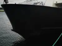 Nave Ro-Ro in vendita