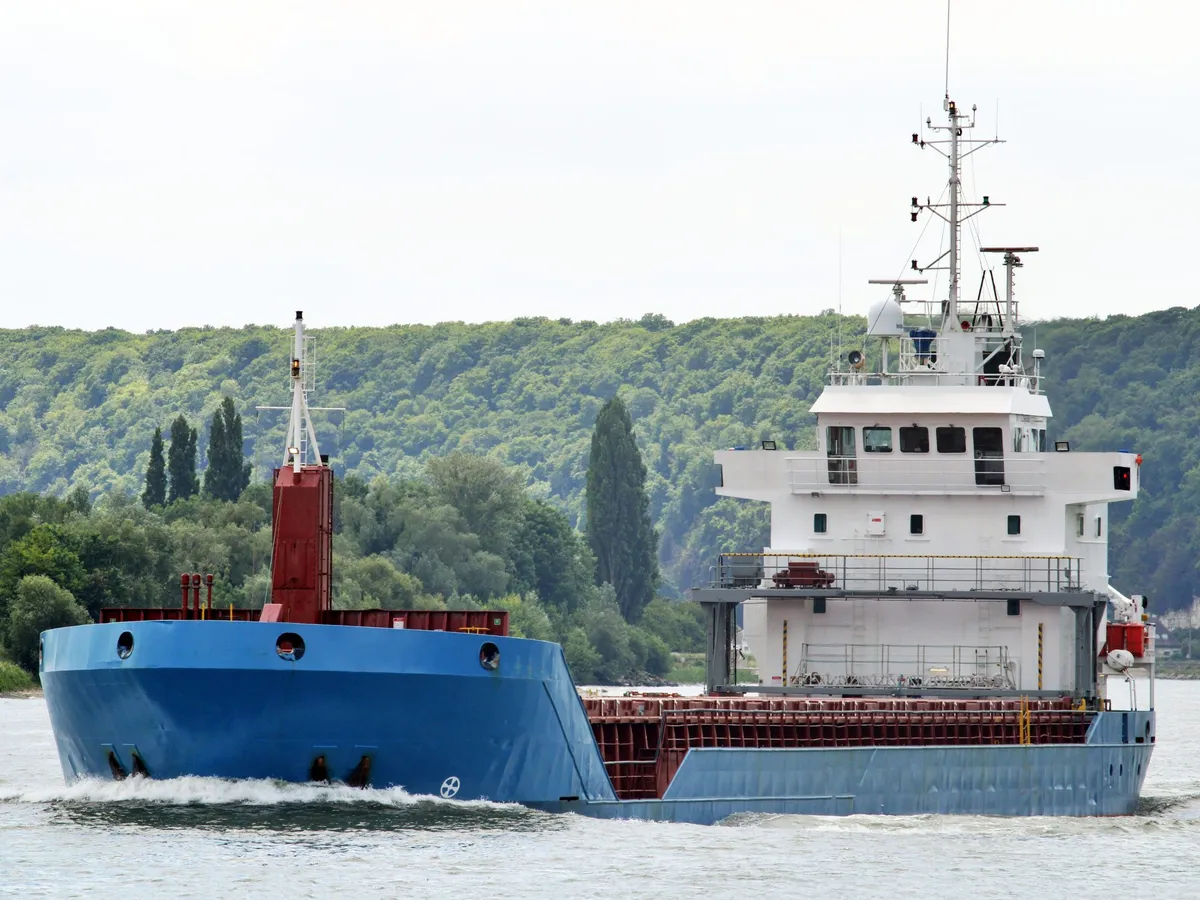 General Cargo/Multi-purpose in vendita