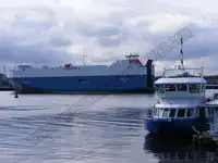 Trasportatore di merci sfuse in vendita