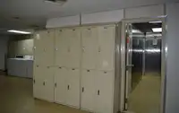 Trasportatore di GNL in vendita
