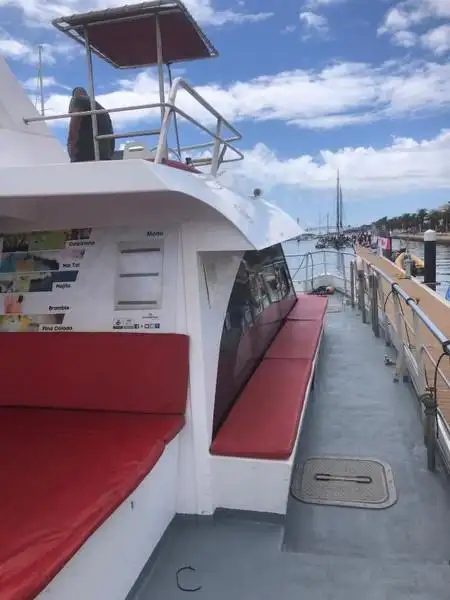 Catamarano in vendita