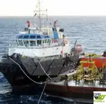 Rimorchiatore in vendita