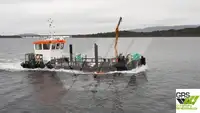 Barche da lavoro in vendita
