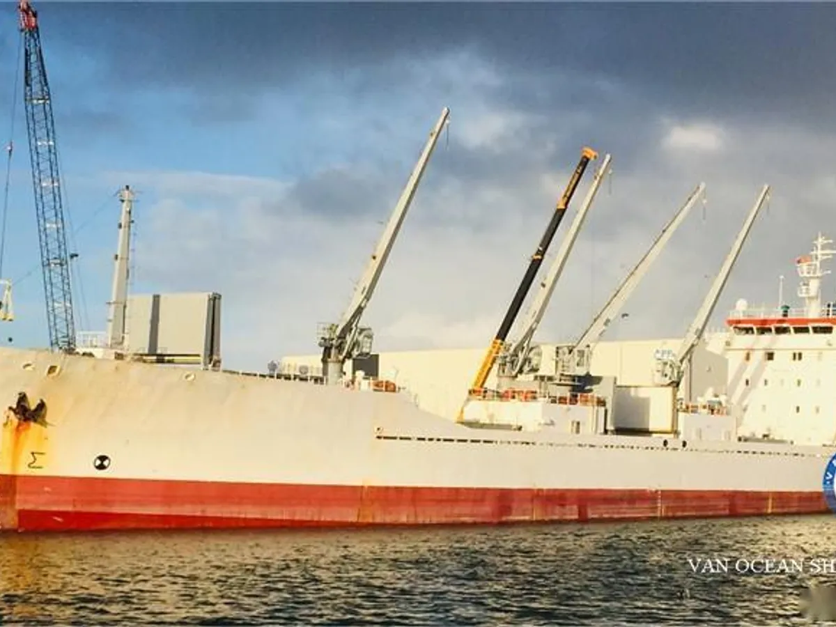 Nave refrigerata in vendita