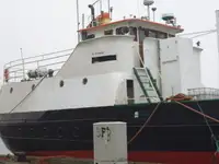 Trasportatore di merci sfuse in vendita